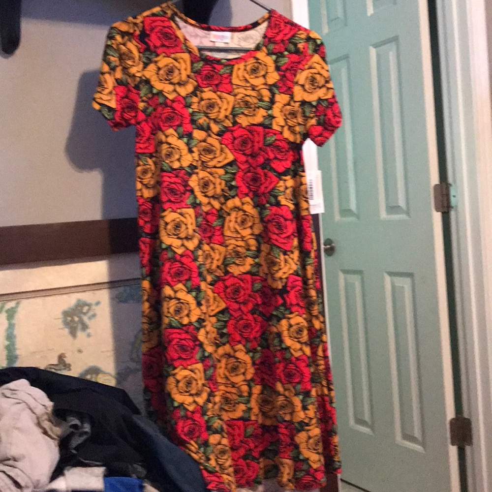 Lularoe Carly XXS dress